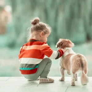 Babysitting (standard)