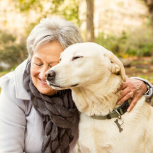 Elderly companion
