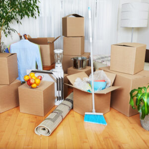 Move-in/out cleaning